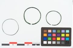 Foto von Bronzebandring (NHMW-PRAE-025319)